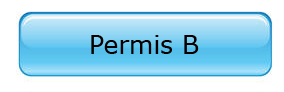 Permis B